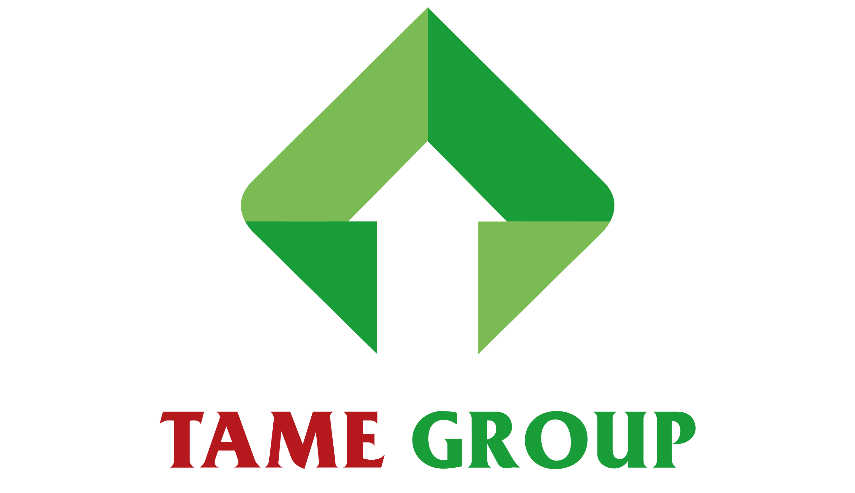 tamegroup
